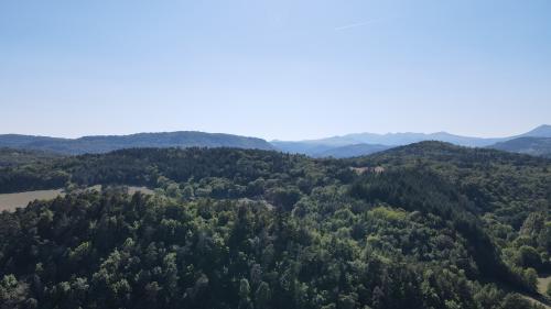 DJI_4024.JPG